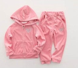 Toddler Hoodie and Pants